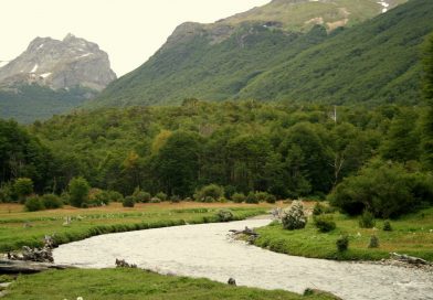 2008-01-PN-Tierra-del-Fuego-023